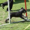 agility 2011-07-24